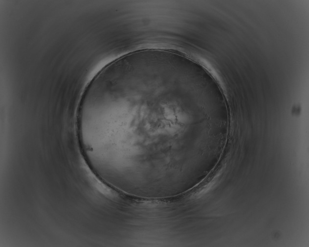 X0000091540803200708311331