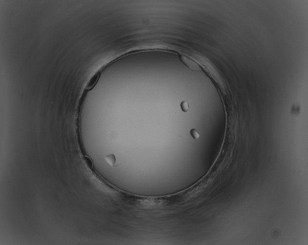 X0000091540805200708311331
