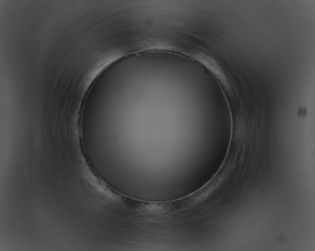 X0000091540806200708311331