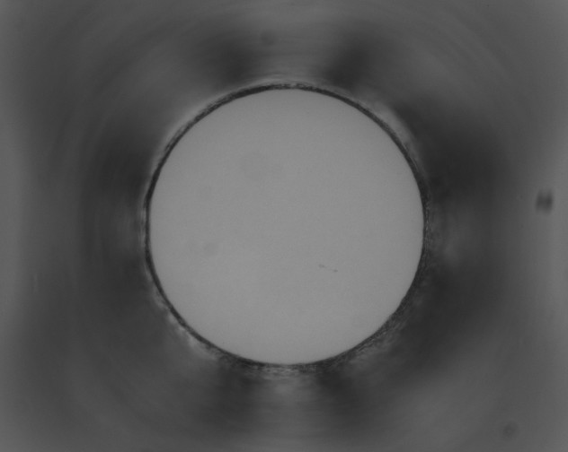 X0000091540807200708311331