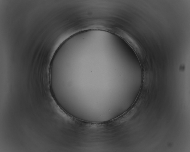 X0000091540808200708311331