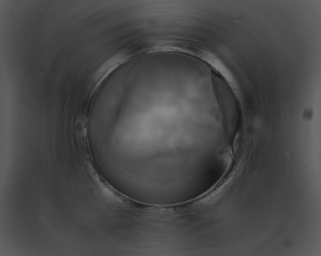 X0000091540809200708311331