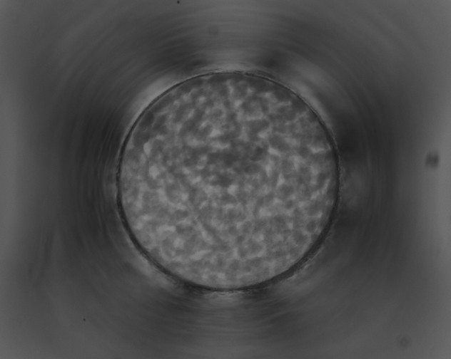 X0000091540810200708311331