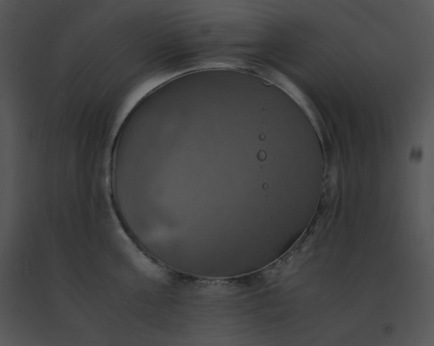 X0000091540811200708311330