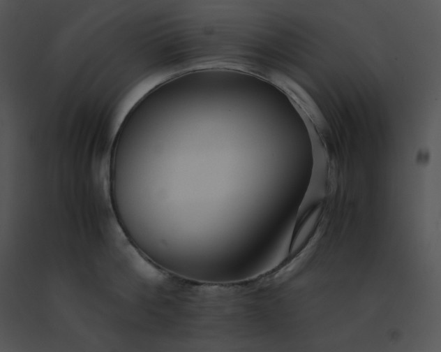 X0000091540812200708311330