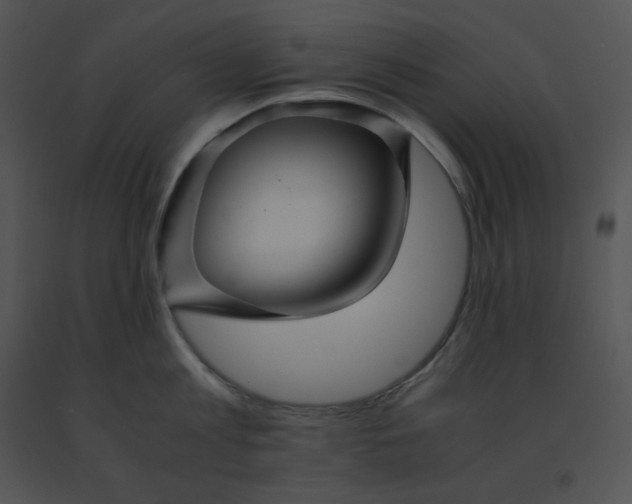 X0000091540813200708311330