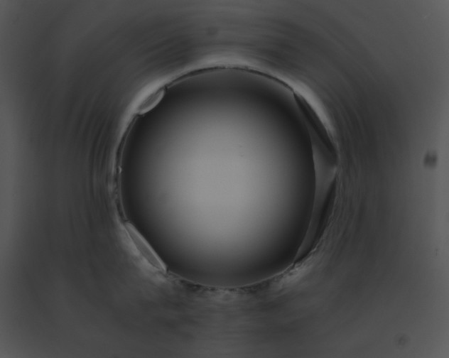 X0000091540815200708311330