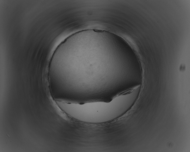 X0000091540816200708311330