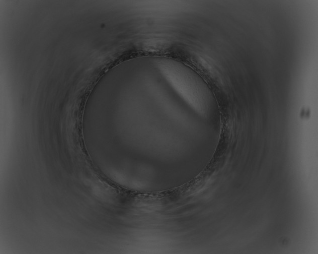 X0000091540817200708311329