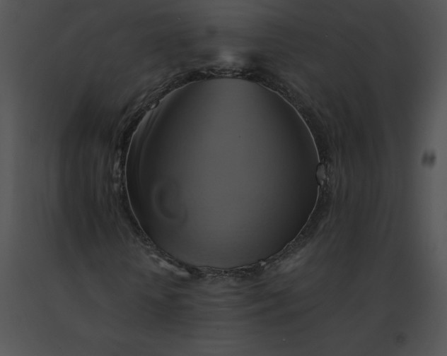 X0000091540818200708311329