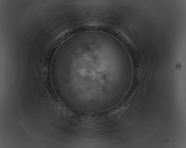 X0000091540821200708311330