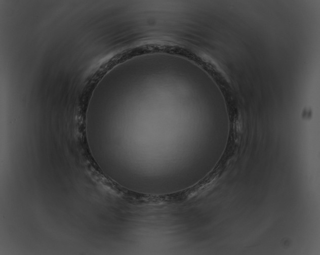 X0000091540822200708311330