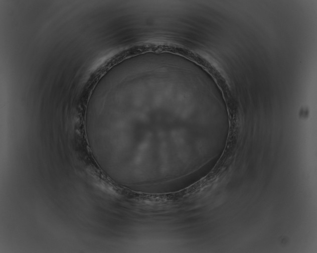 X0000091540823200708311330