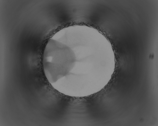 X0000091540824200708311330