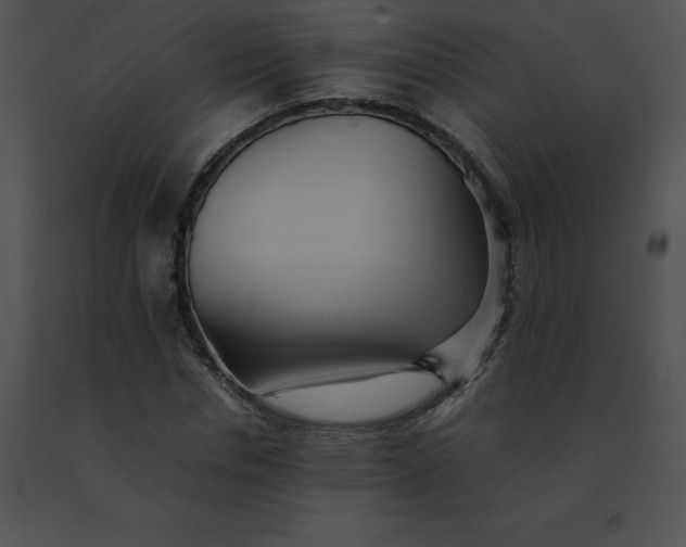 X0000091540826200708311330