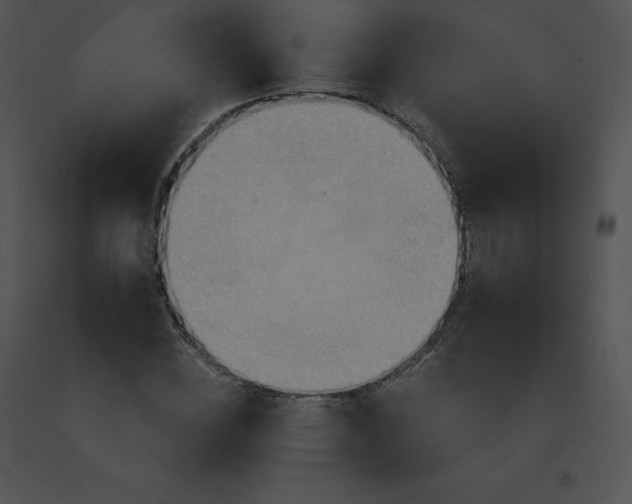 X0000091540828200708311330