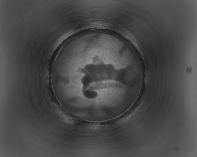 X0000091540829200708311330