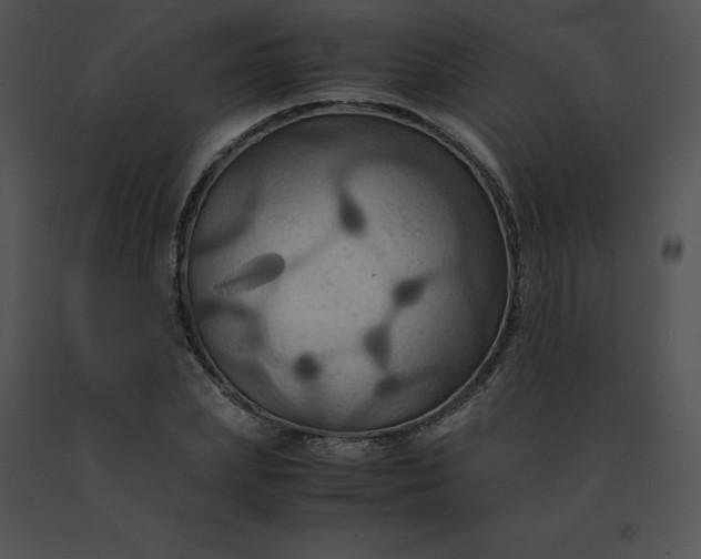 X0000091540831200708311330