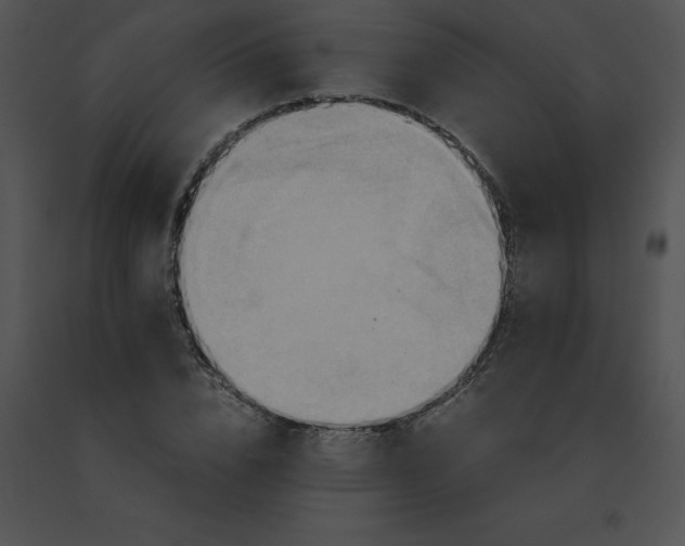 X0000091540832200708311330