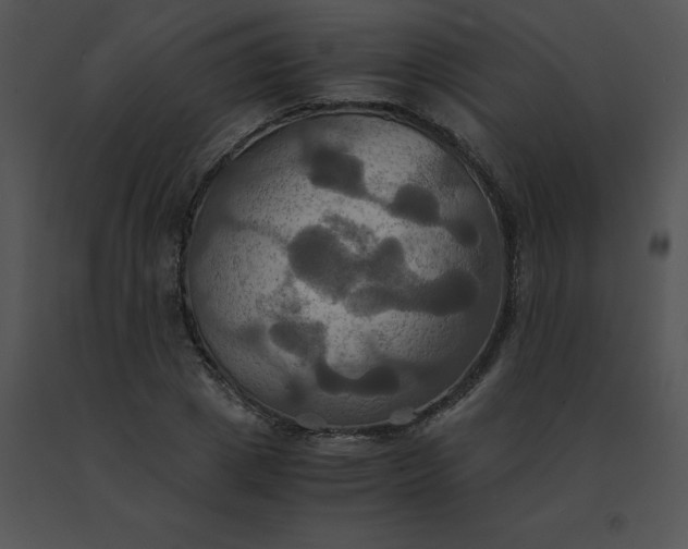 X0000091540833200708311330