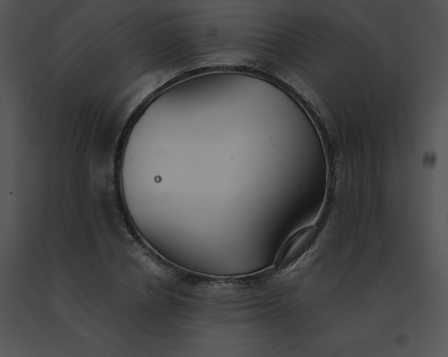 X0000091540834200708311330