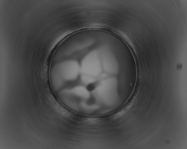X0000091540835200708311330