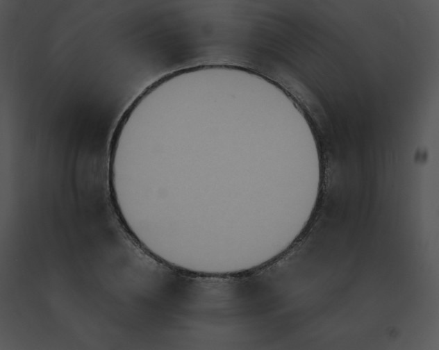 X0000091540836200708311330