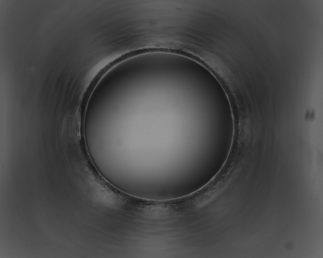 X0000091540838200708311330