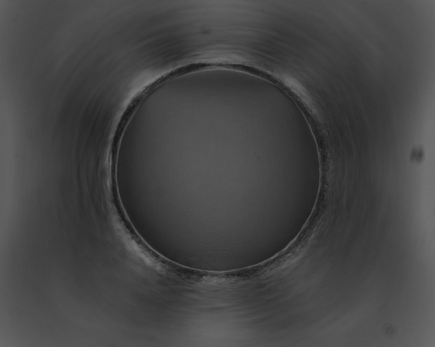 X0000091540840200708311330