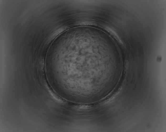 X0000091540841200708311330