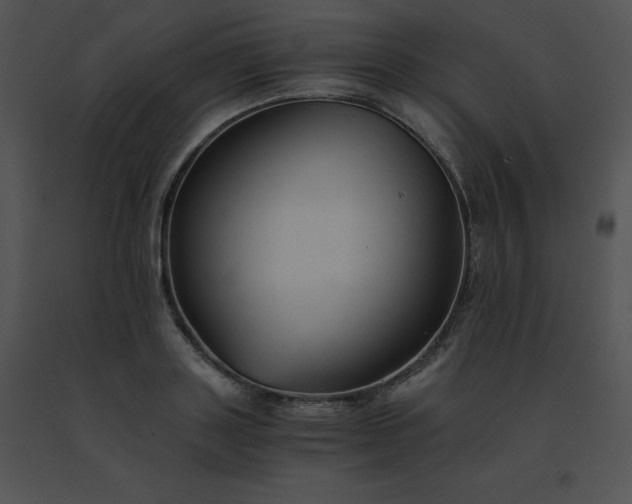 X0000091540843200708311330