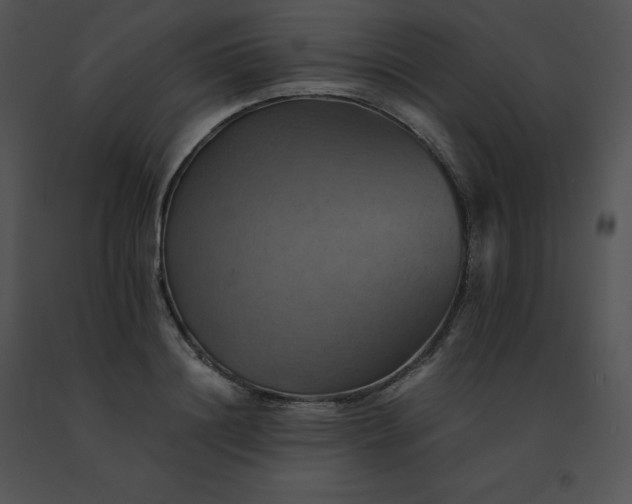 X0000091540844200708311330