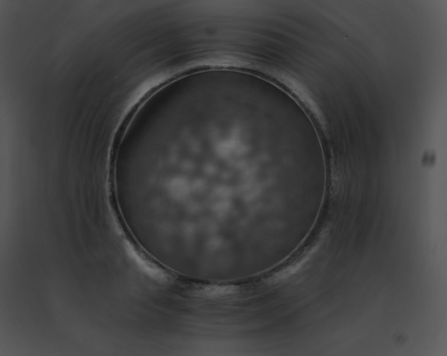 X0000091540845200708311330