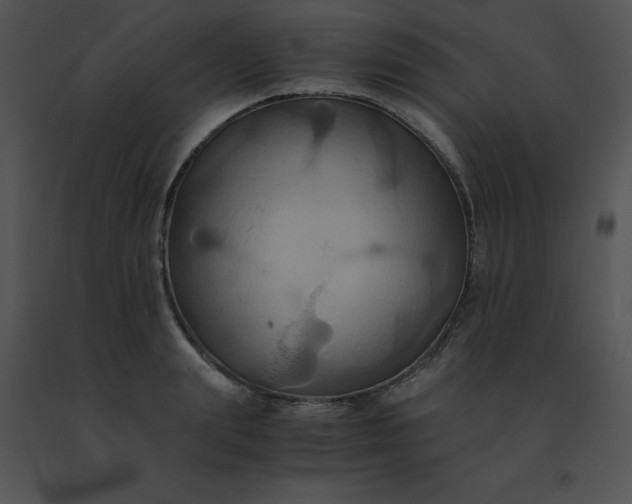 X0000091540847200708311330