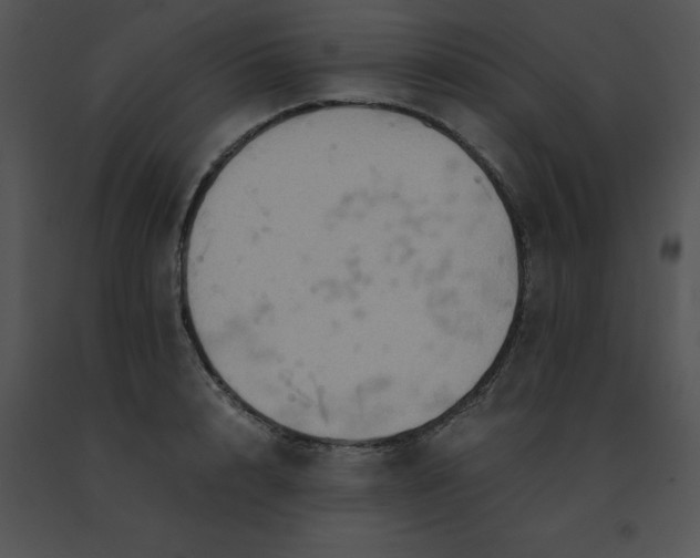 X0000091540848200708311330