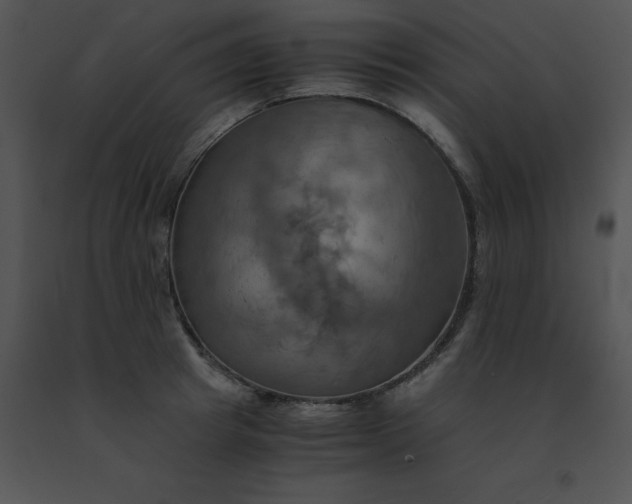 X0000091540849200708311330