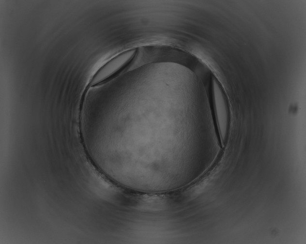 X0000091540850200708311330