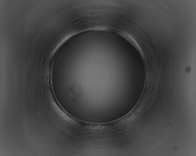 X0000091540851200708311330