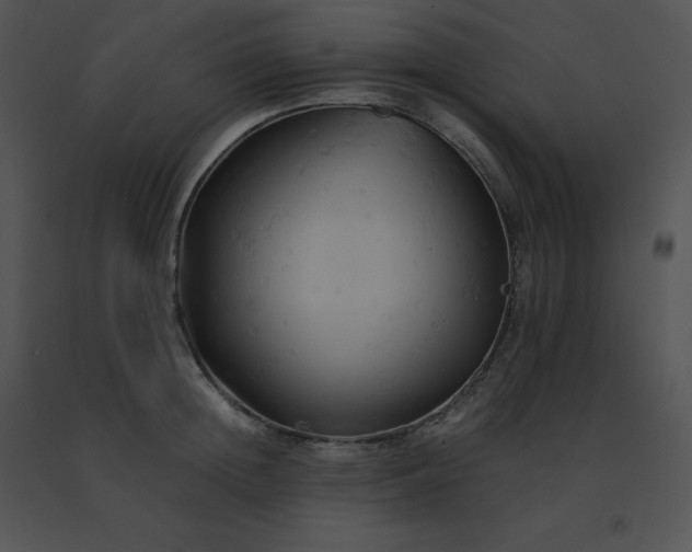 X0000091540852200708311330