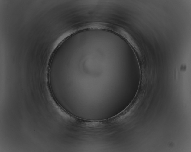 X0000091540853200708311330