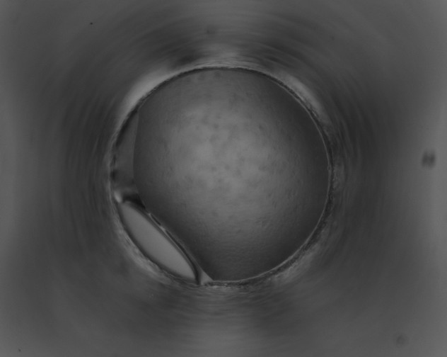 X0000091540854200708311330