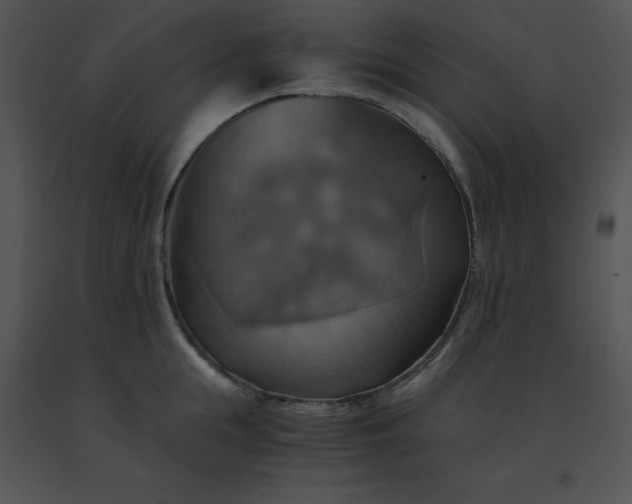 X0000091540855200708311330