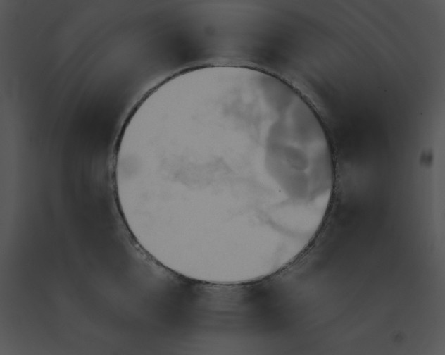 X0000091540856200708311330