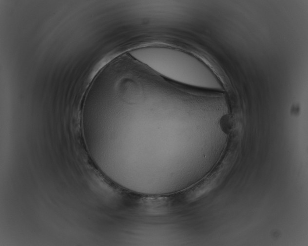 X0000091540858200708311330