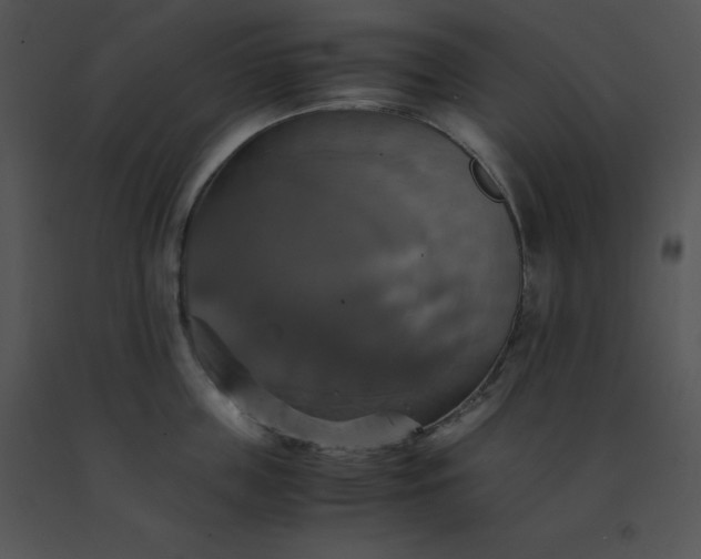 X0000091540859200708311330