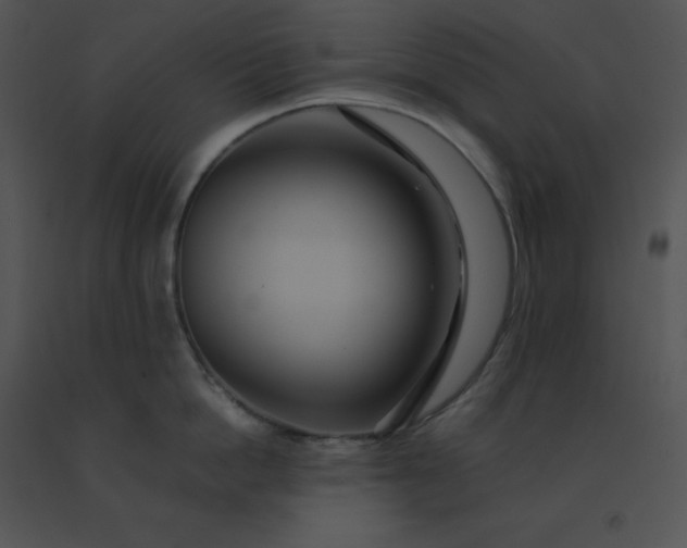 X0000091540862200708311330