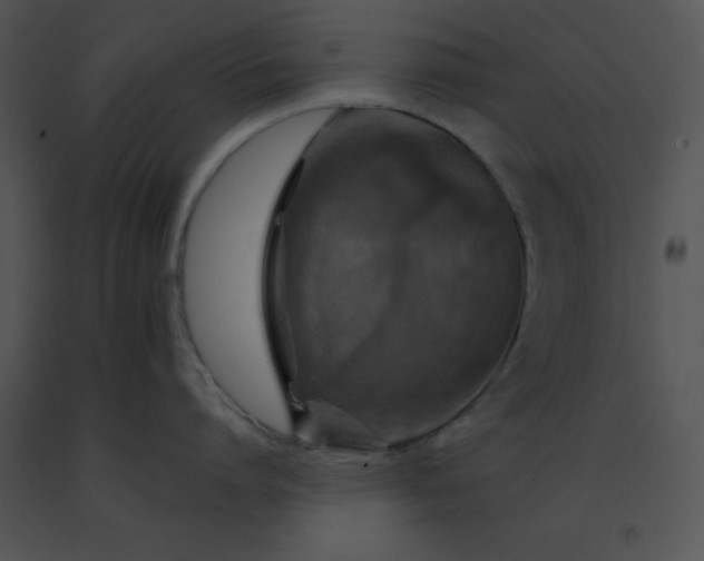X0000091540864200708311330