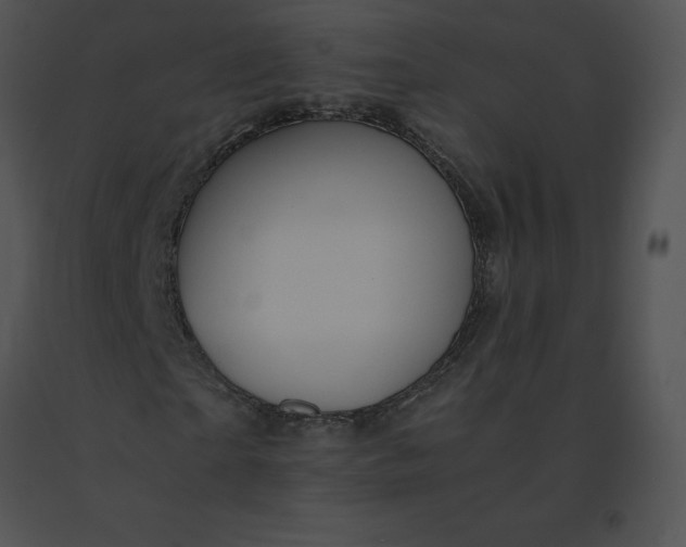 X0000091540865200708311329