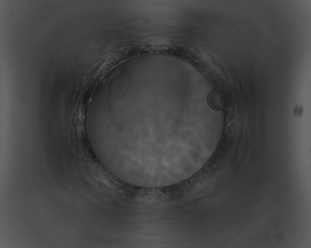 X0000091540866200708311329