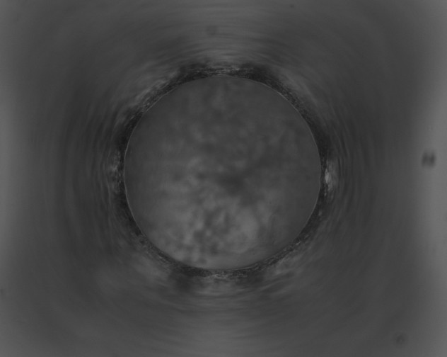 X0000091540867200708311329